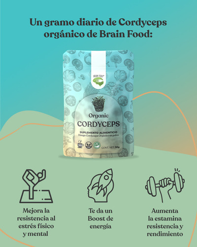 Hongo Cordyceps Orgánico En Polvo Brain Food Adaptógeno