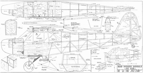 Planta Piper J3