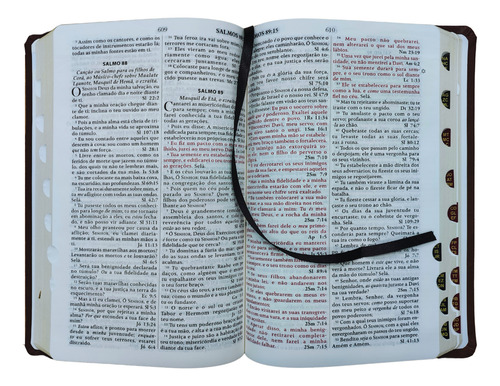 Biblia King James 1611 Com Pilcrows, Referencias, Profecias Messianicas E Palavras Em Vermelho - Capa Luxo Caramelo Com Indice