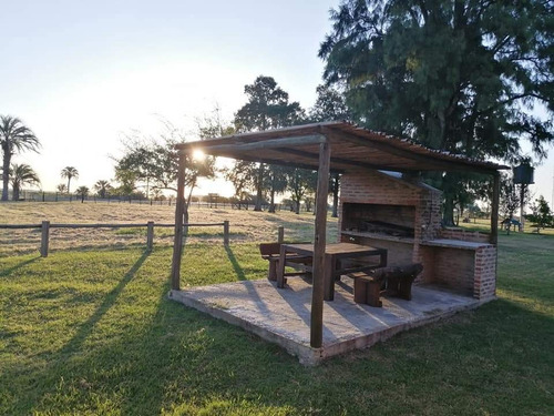 Cabañas A 2.5km De Termas Guaviyú