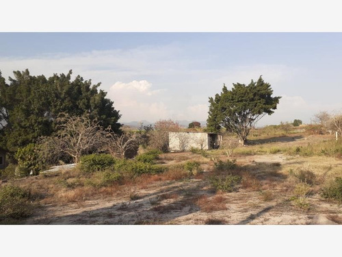 Imagen 11 de 11 de Terreno Comercial En Venta San Carlos