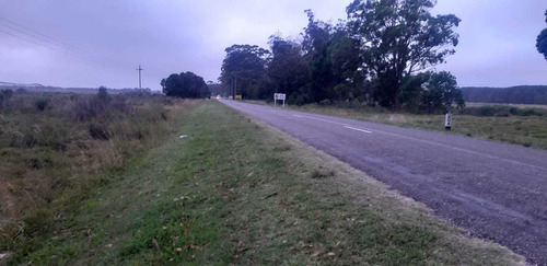 Venta Campo Chacra Rocha Cabo Polonio 20 Hectáreas Ruta 10