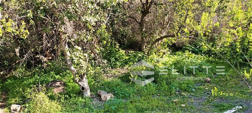 Agrícola En Venta En Olmué