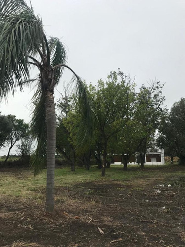 Imagen 22 de 30 de Terreno - Ibarlucea