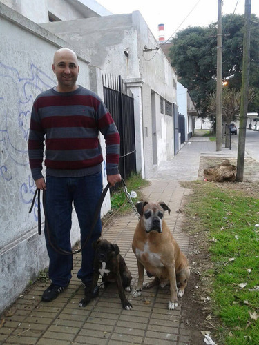 Adiestrador Canino Zona Sur