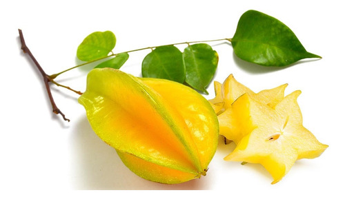 Planta De Carambola - Adultas Grandes, Ya Producen!!!