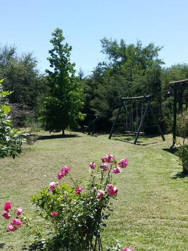 Imagen 11 de 11 de Campo - Colonia Hughes