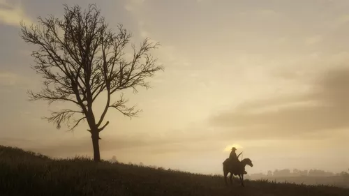 Red Dead Redemption 2 Pc - Steam Key (envio Já)