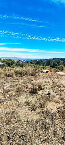 Excelente Terreno Con Vista Al Mar En Los Pinos, Reñaca