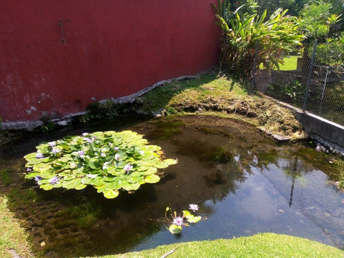 Imagen 8 de 21 de Vendo Hermosa Casa Con Arroyo Natural De Agua Cuautla Mor