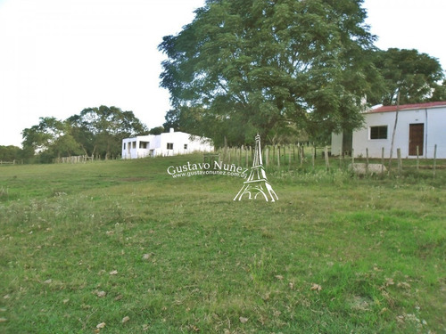 Campo En Tacuarembó- Ref: 2658