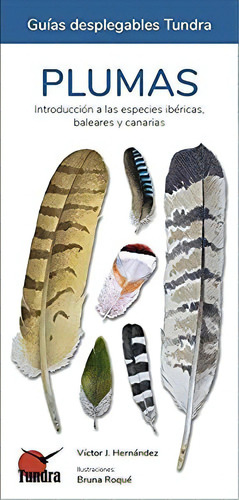 Plumas, Introduccion A Las Especies Ibericas, Baleares Y Canarias, De Victor J. Hernandez. Editorial Tundra, Tapa Blanda En Español, 2021