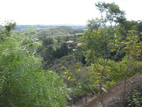 Chácara Com 4 Dormitórios À Venda, 11200 M² - Chácara Alpina - Valinhos/sp - Ch0205