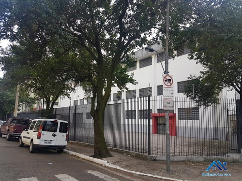 Imagem 9 de 11 de Galpão - Gl00031 - 68828153