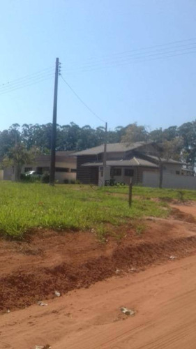 Imagem 9 de 13 de Terreno À Venda, 550 M² Por R$ 100.000,00 - Jardim Palmeira - Águas De Santa Bárbara/sp - Te0178
