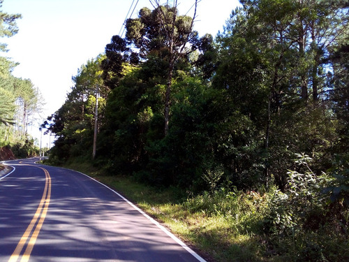 Terreno Em Gramado/rs Com 8,87 Hectares.