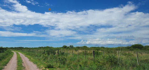 Campo - Santiago Del Estero