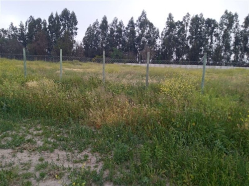 Imagen 15 de 23 de Sitio En Venta En Isla De Maipo