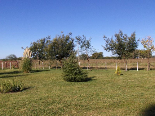Imagen 15 de 15 de Campo 9ha En Las Flores