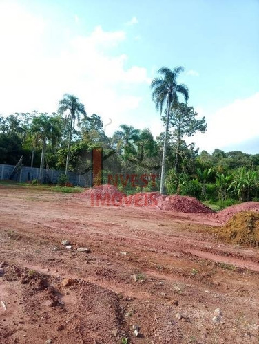 Imagem 12 de 15 de Chacara - Ref: 5469 - V-5469