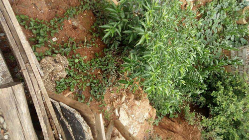 Imagem 3 de 5 de Terreno, Refúgio Dos Bandeirantes, Santana De Parnaíba - R$ 180 Mil, Cod: 234984 - V234984