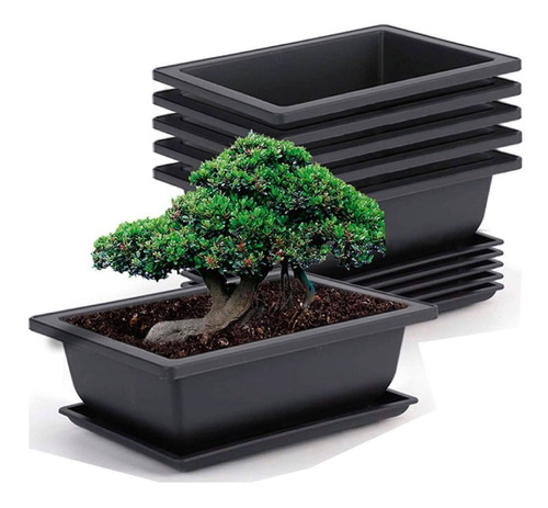 Maceta Bonsai Plástica Delivery Gratis Pack X 3 Unid.