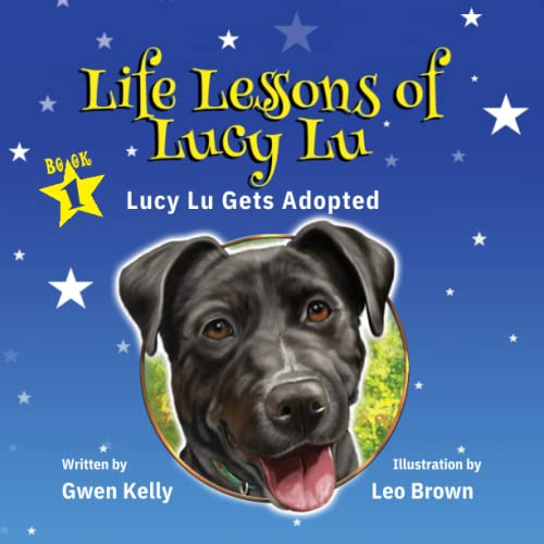 Lições De Vida De Lucy Lu: Livro 1 - Lucy Lu É Adotada