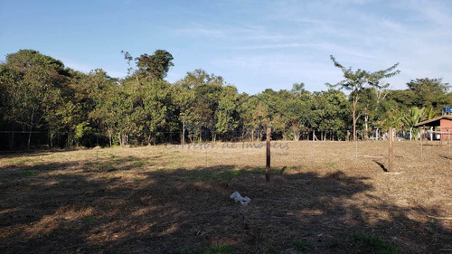 Imagem 4 de 30 de Chácara, Campo Alto, Pirassununga - R$ 180 Mil, Cod: 10131719 - V10131719