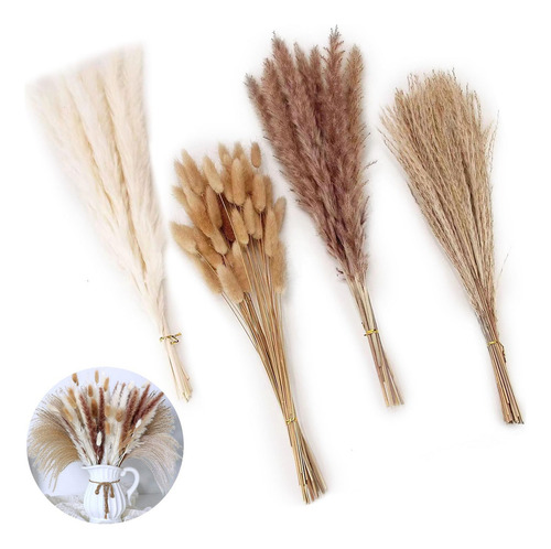 Hi, 100 Pcs Pampas Secas Plantas Decorativas Flores