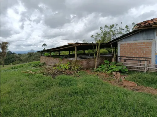 Venta Finca Filandia A Borde De Carretera - 20 Cuadras