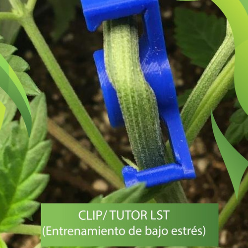 Tutor/clip Lst (entrenamiento De Bajo Estrés) 16 Unidades