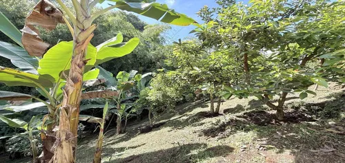 Casa Campestre En Venta En Combia/pereira (279062640).