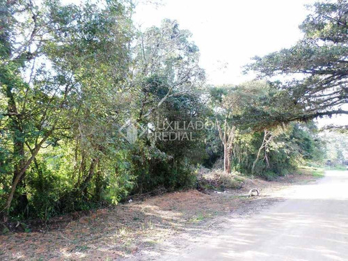 Imagem 6 de 10 de Terreno - Belem Novo - Ref: 226051 - V-226051