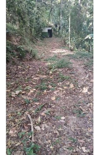 Imagen 13 de 13 de Venta De Lote De Terreno De Cuatro Hectáreas San Diego Carrizal