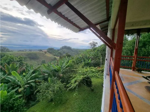 Finca De 3 Cuadras En Venta A 15 Minutos De Calarcá