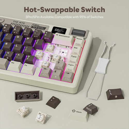 Teclado Mecánico Inalámbrico Español Rk Royal Kludge M70 70%