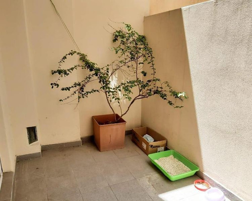 Imagen 18 de 21 de Departamento De 3 Ambientes Con Dos Patios Y Baulera!!