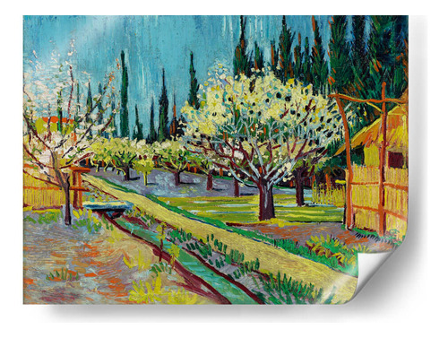Poster - Orchard Bordered By Cypresses, Van Gogh 40x30