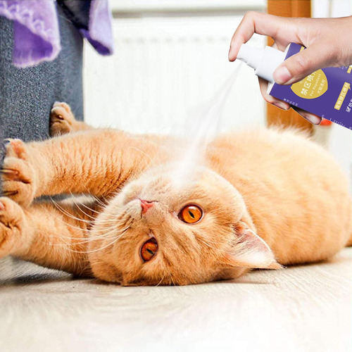Spray Para Gatos Para Rascar Spray Antiarañazos Para Gatos S