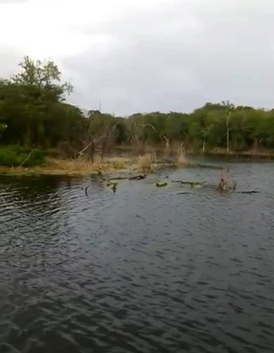 Imagen 6 de 9 de Altagracia De Orituco, Sector Lezama De Orituco Código: Att-102