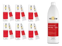 Comprar Kit 6 Tinturas Yellow Alfaparf + Oxidante 40 Vol Yellow 