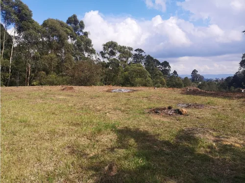 Lote En Venta Rionegro-los Pinos