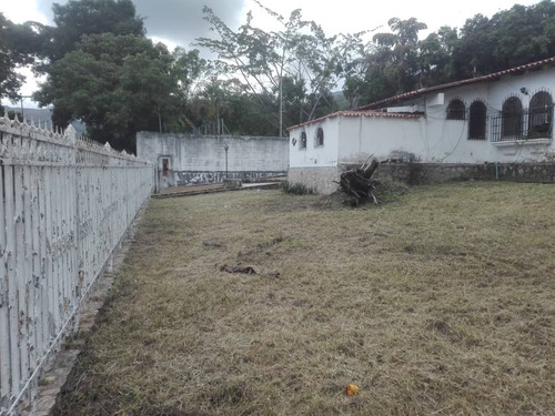 Imagen 6 de 7 de Vendo Terreno Sector El Piñal. El Limón