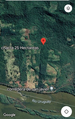 Chacra 25 Hectareas