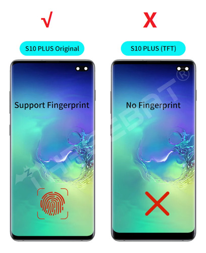 Imagen 2 de 5 de Pantalla Amoled Compatible Con Samsung S10 Plus G975 Ori