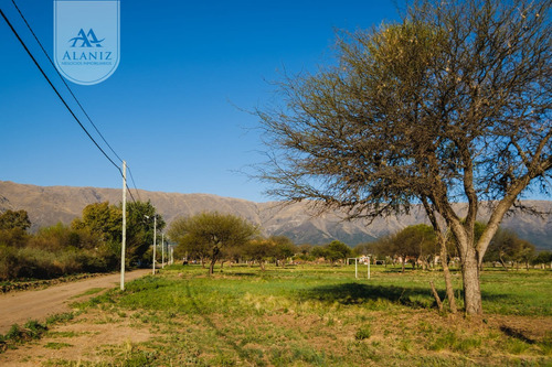 Ultimos Lotes, Terrenos En Venta, Quintas Del Tomero, Merlo, San Luis.