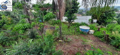 Imagem 4 de 15 de Chácara Para Venda Em Pinhalzinho, Zona Rural, 4 Dormitórios, 1 Suíte, 2 Vagas - 1118_2-1186108