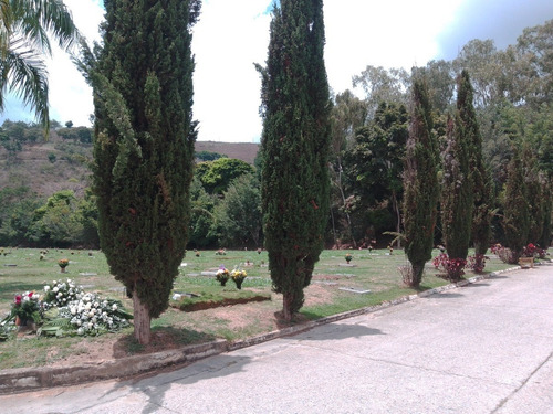 Imagen 4 de 6 de Venta De Dos Parcelas De Dos Puestos En Cementerio Del Este