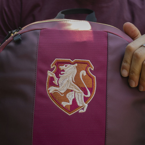 Mochila Hogwarts Legacy Gryffindor Hlg008bp335a Color Rojo Diseño de la tela Liso
