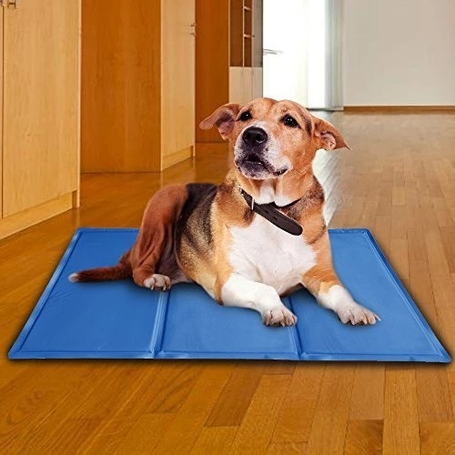 Manta Termica Pet Cool Mat Talle Large